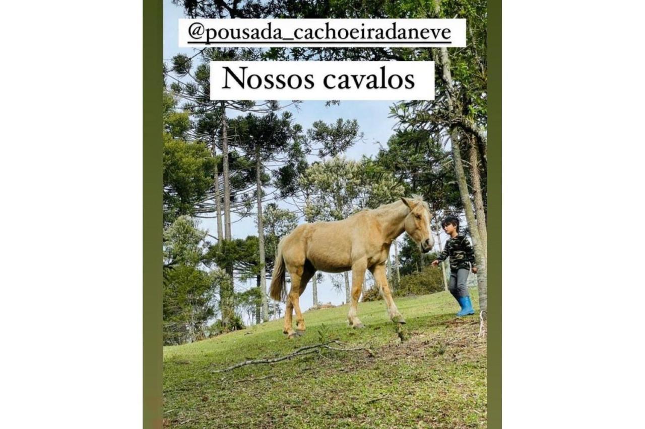 Floresta Secreta- Pousada Cachoeira Da Neve Урубісі Екстер'єр фото